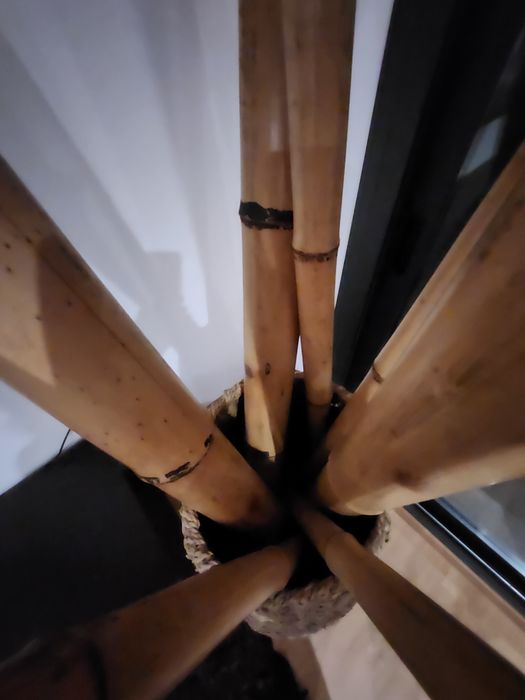 Pote Decorativo em  palha 1.00x27  com 7 canas Bambu 2.05 cada