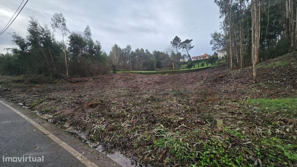 Terreno para construção em Sanguedo!