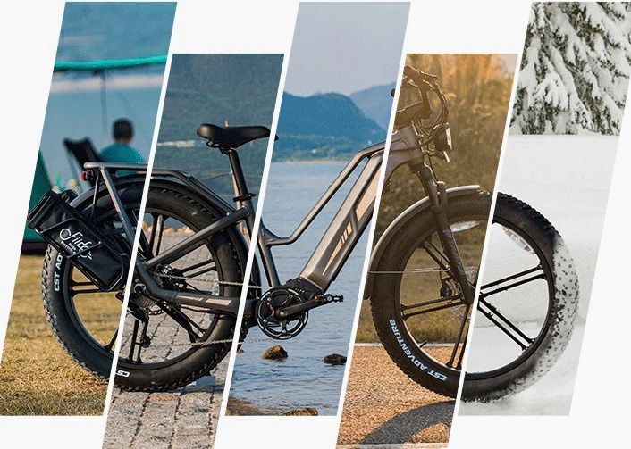 Rower Elektryczny Fiido Titan aluminium 26 " szary