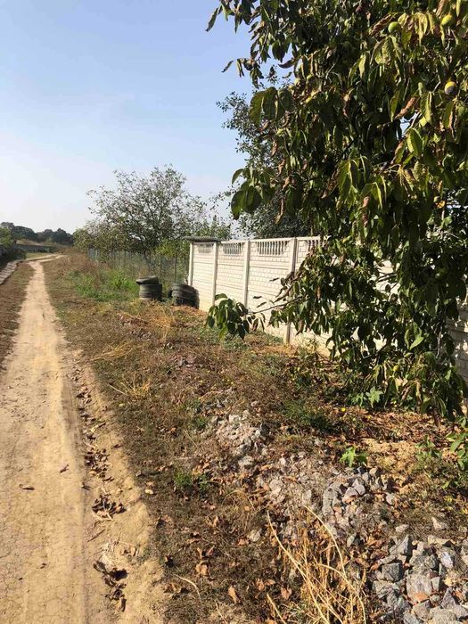 (3) Продам земельну ділянку в Писарівці 1736