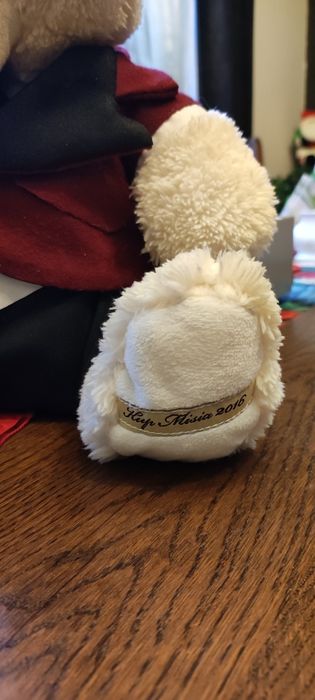 Miś Jaś z akcji charytatywnej TVN 2016