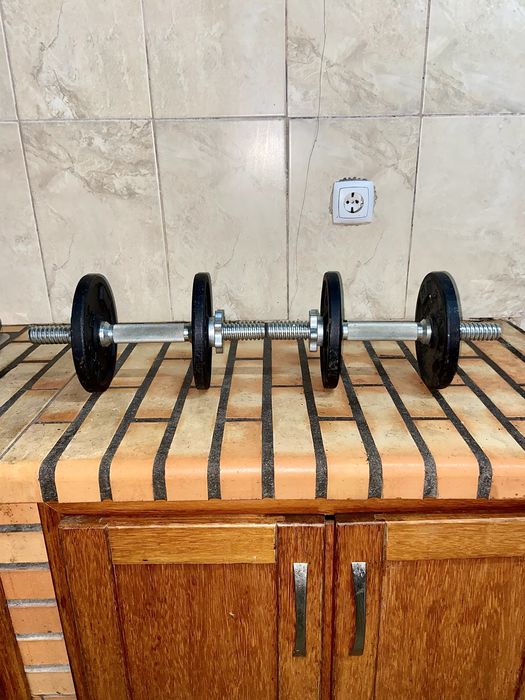 Halteres Musculação