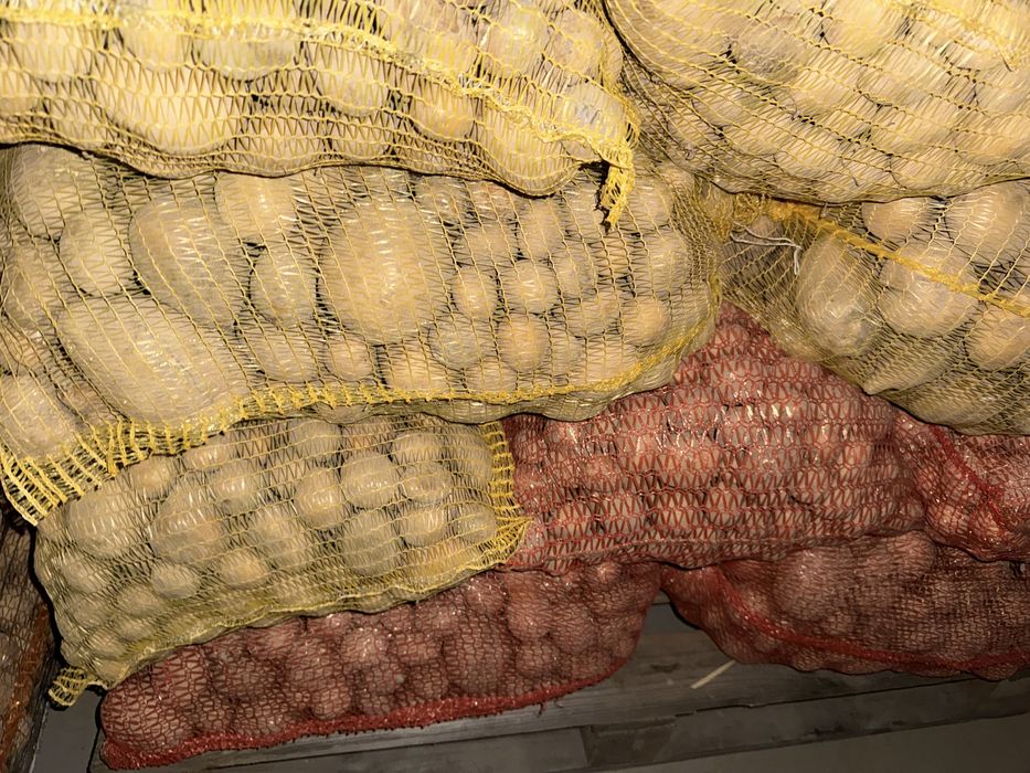 Ziemniaki psszowe worki 30kg lub luz big bag bez zgnitych i kamieni