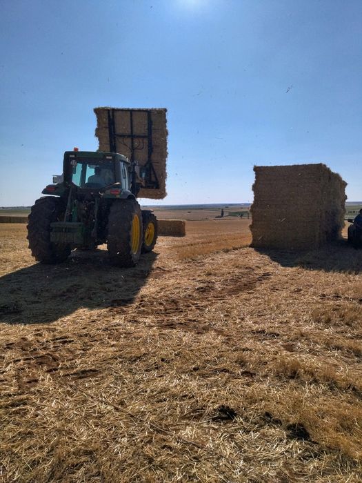 Fardos de Palha triga e aveia