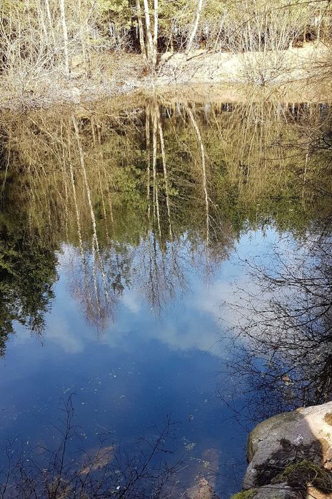 Dzialka Rolno-Lesna-Woda  9,5 ha