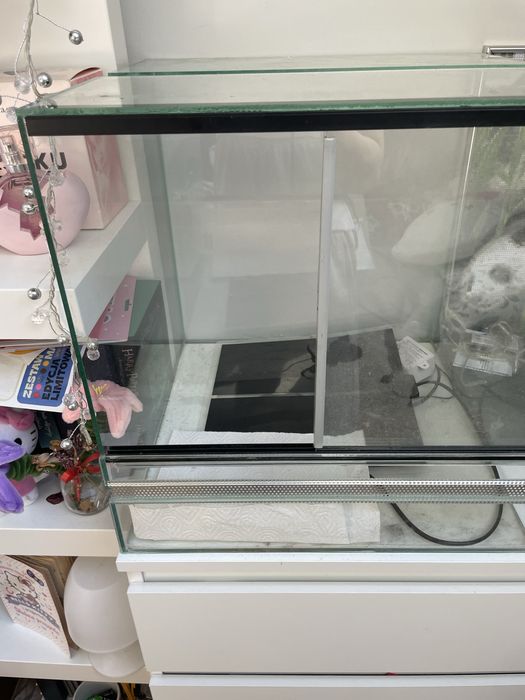 terarium dla zwierzaka