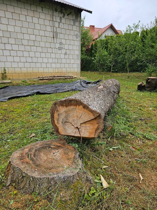 Sprzedam dwa kloce wiśniowe. Jeden o dlugosci 360 cm i średnicy 60 cm, drugi o dlugosci 310 cm i średnicy 60 cm.