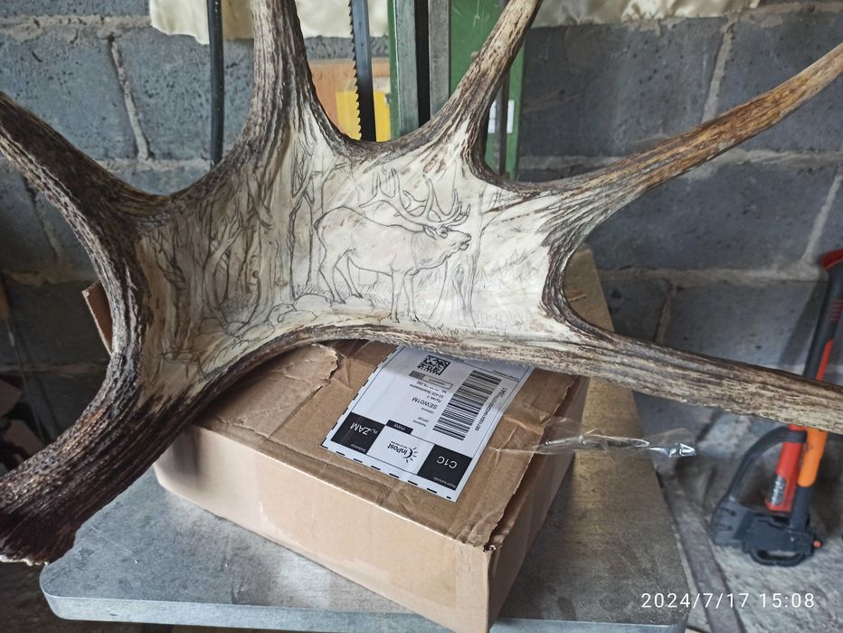 Deski pod trofea (rzezba w porożu)