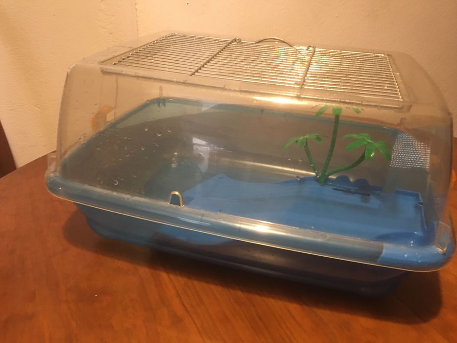 Tartarugueira de plastico
