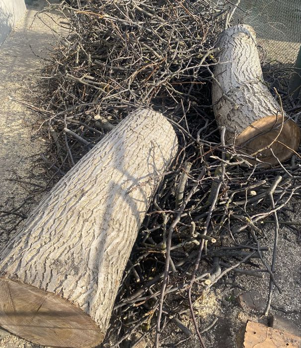 Продам стовбур горіха