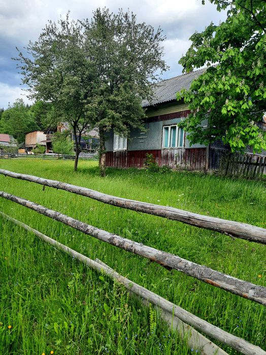 «Карпати! Ділянка 23 сотки з будинком. Перспективне місце біля Буковелю».