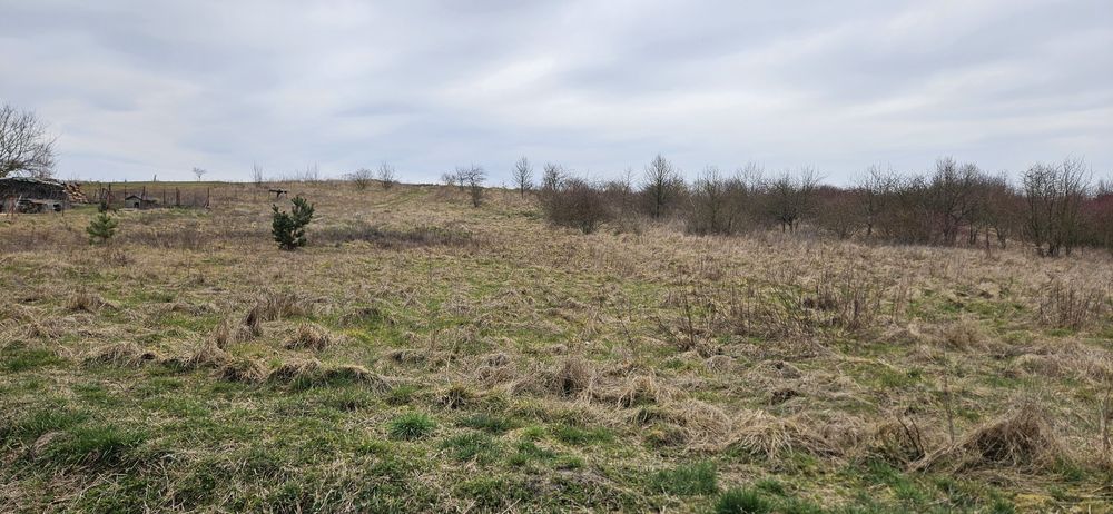 Działka budowlana m. Gostchorze 16 arów