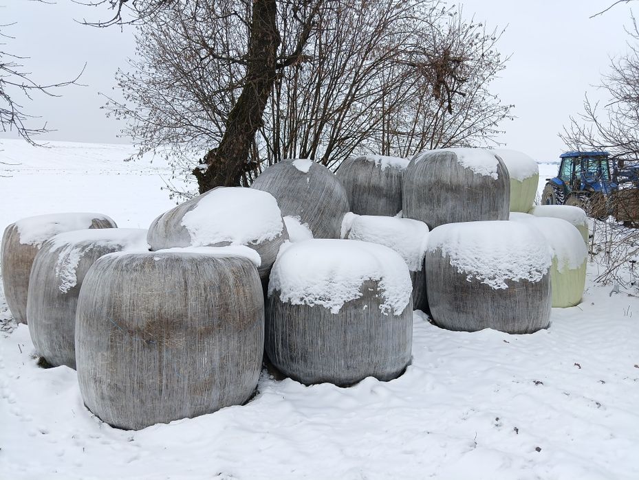 Sianokiszonka  3 pokos