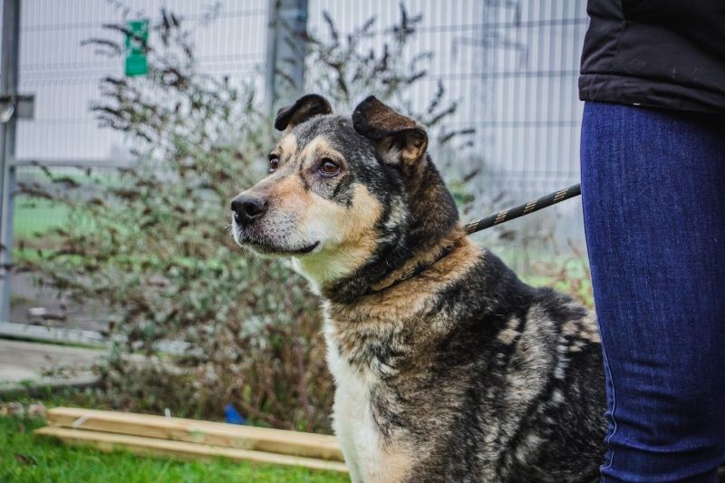 Amil czeka na domek!