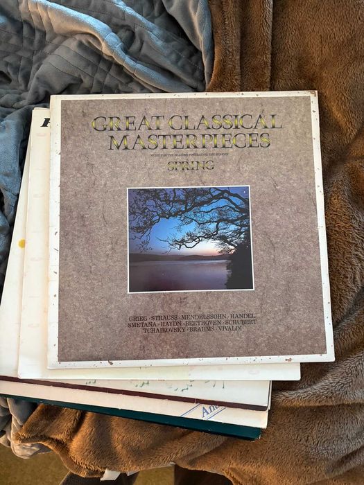 Vendo Vinis em Ótimo Estado | variados e preços negociáveis!