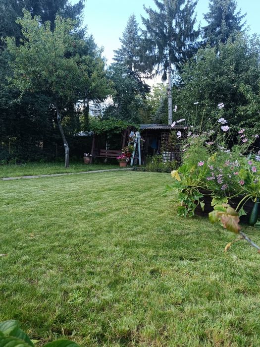 Zadbana działka ROD Saska Kępa - Widok 2