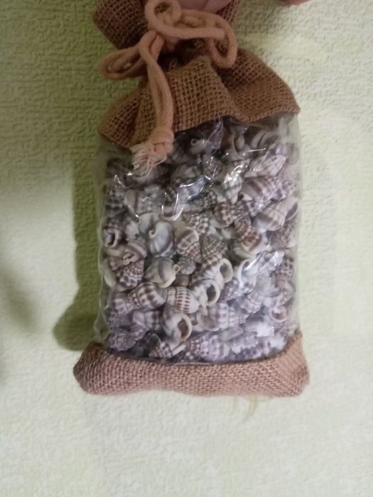 Набор ракушек подарочный из Италии.  Тема- океан.  Множество  ракушек.