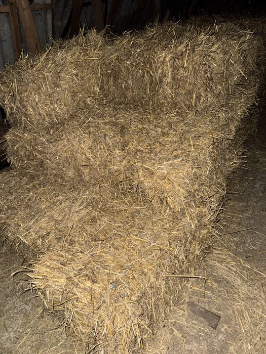 Тюки солома  ячмінка