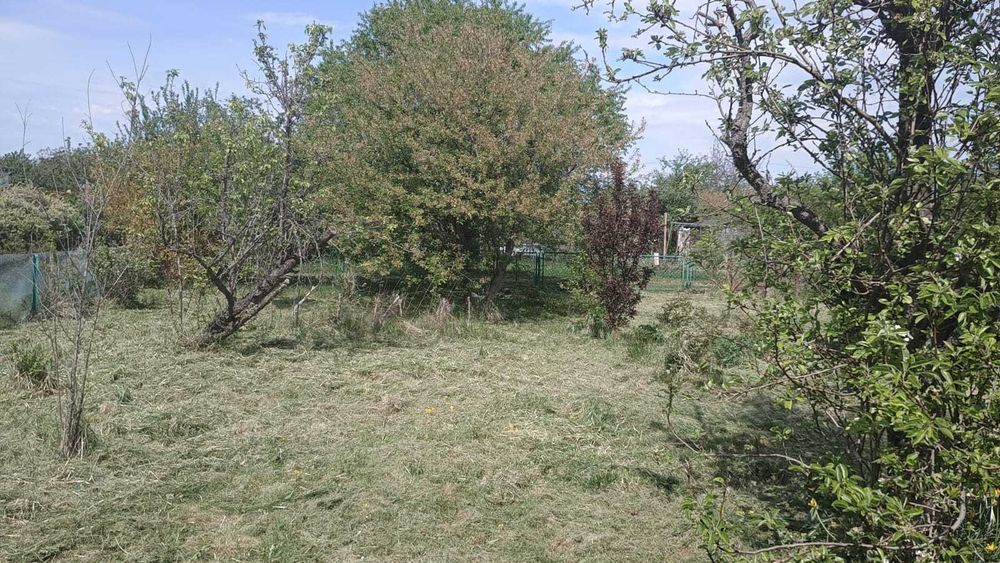 Zdjęcie 6