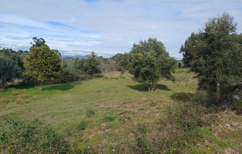Terreno com palheiro e poço!
