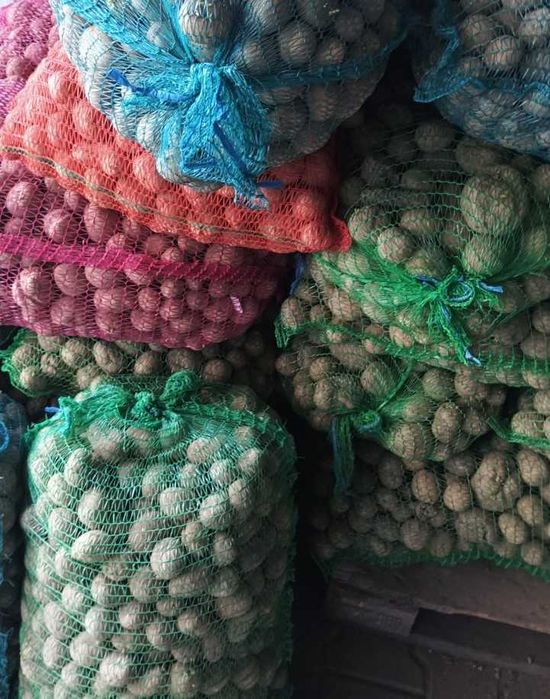 Ziemniaki sadzeniaki. Wineta.