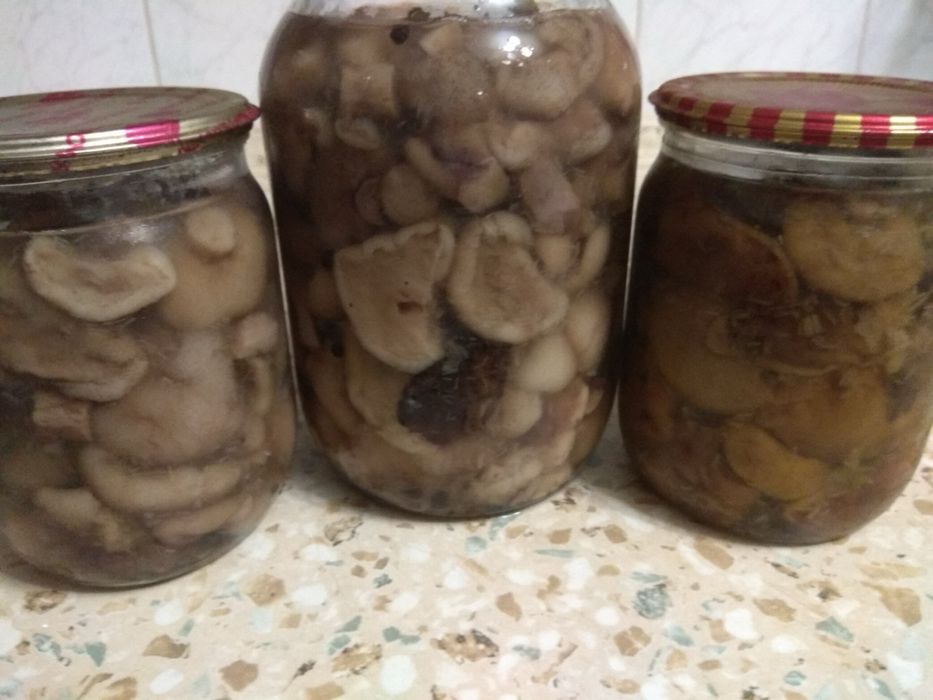 Мариновані гриби, маслята та польські