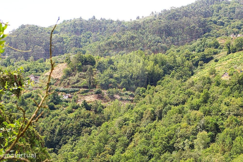 Terreno  para venda