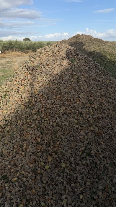 Vende se amendoa  com capota