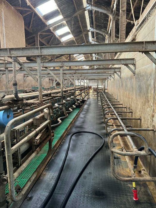 Hala udojowa Westfalia GEA 2x16 Swingover 50°