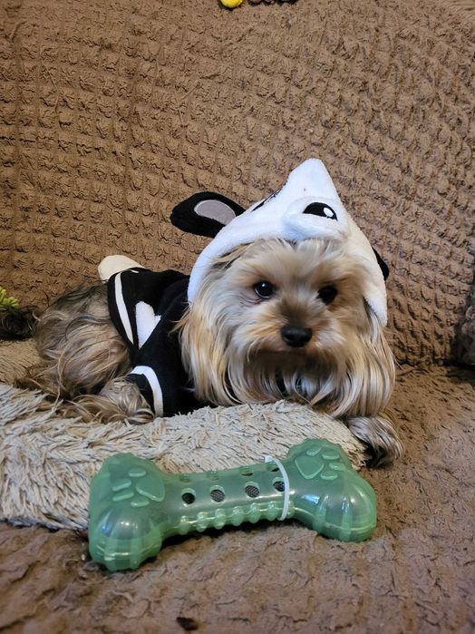 Хлопчик шукає дівчинку