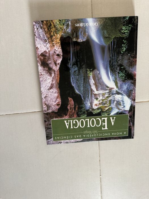 Diferentes tipos de livros