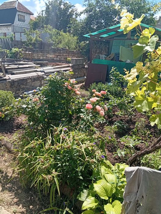 Продаю дом ст. Водопой ул. Коминтерна