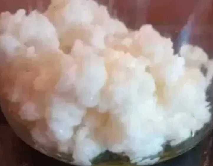 grzybek tybetanski mega porcja