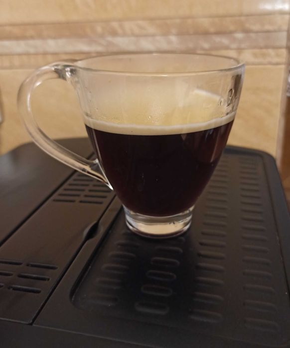 Ekspres ciśnieniowy DeLonghi Caffe Corso Esam2600 czarny