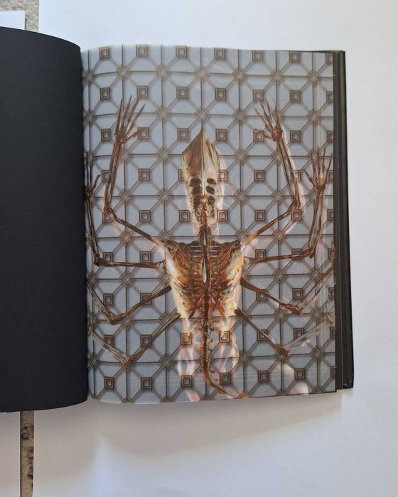 Tool Fear Inoculum cd