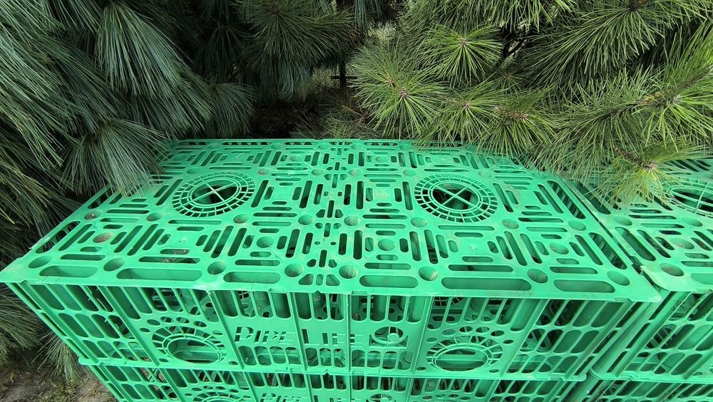 Skrzynki do oczyszczalni ekologicznej