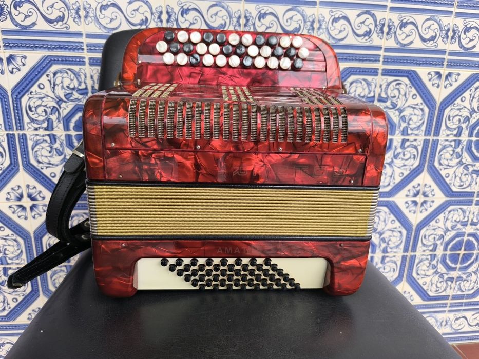 Acordeão hohner 2voz
