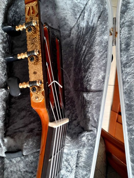 Gitara Rachonsky 151