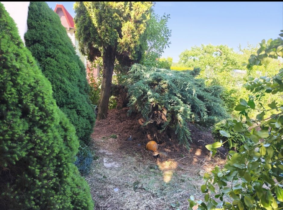Na sprzedaż działka ROD „Relaks” – 262 m² z klimatycznym murowanym domkiem i ogromnym potencjałem - Więcej