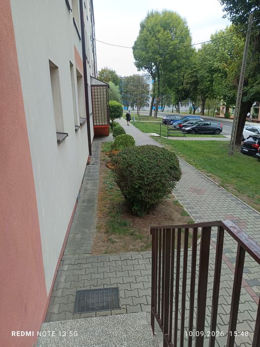 Zdjęcie 3