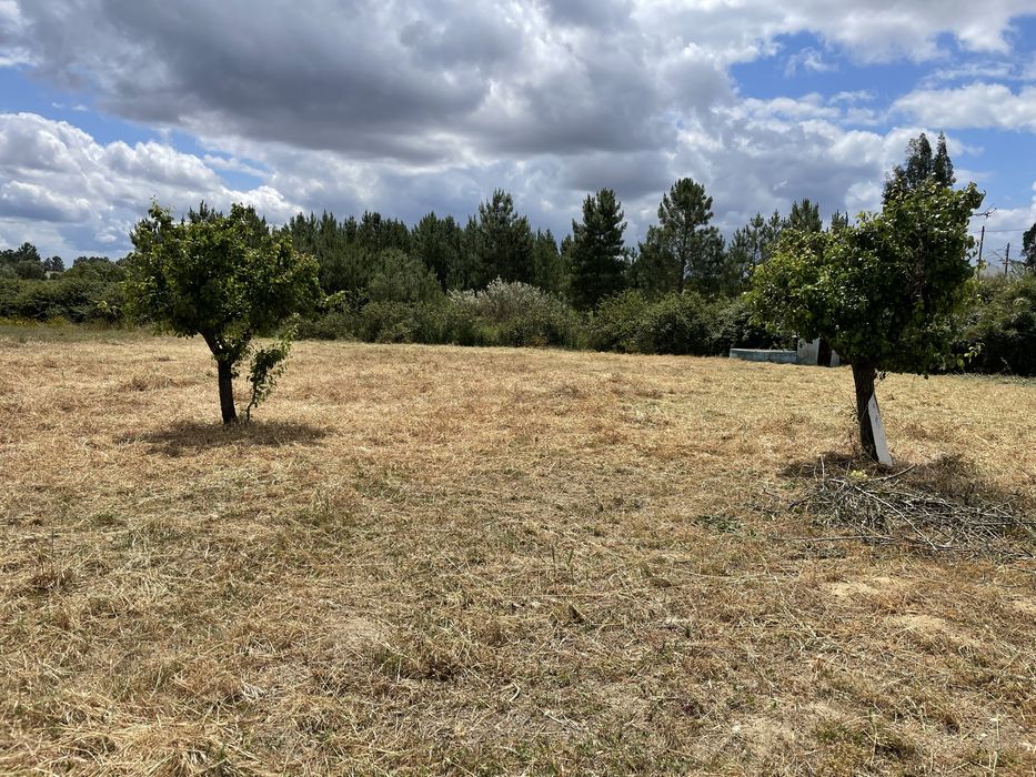 Limpeza de terrenos, corta mato, abate de arvores