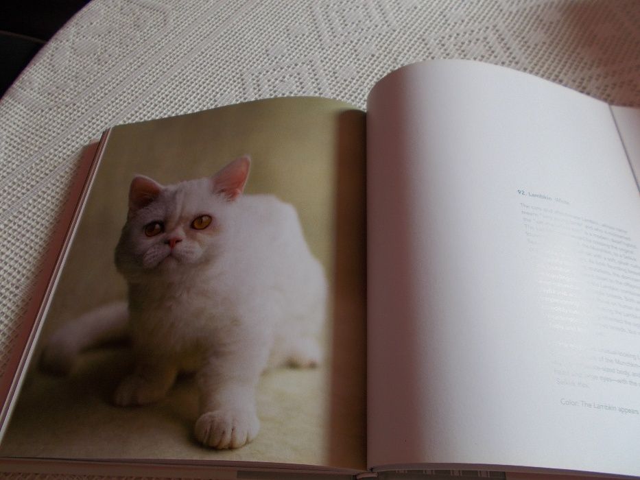 Livro sobre gatos The Cat´s Pajamas