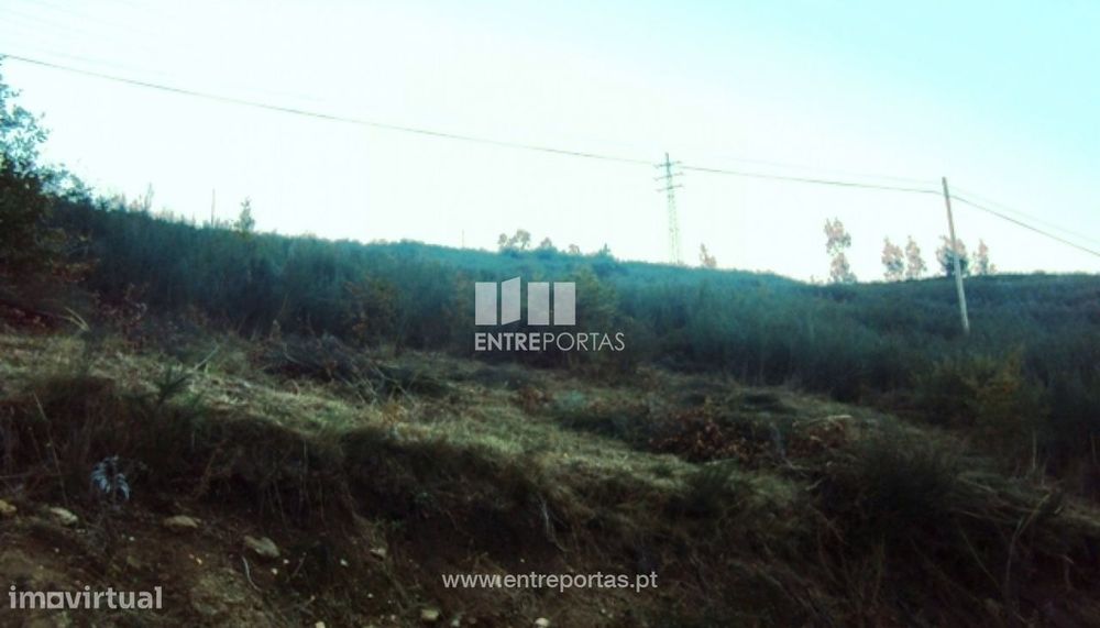 Venda Terreno, Tarouquela, Cinfães — Marco, Porto