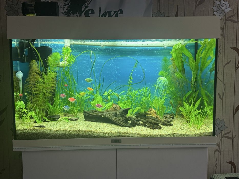 СО2 для акваріума на лимонні кислоті, СО2 для акваріума на соді