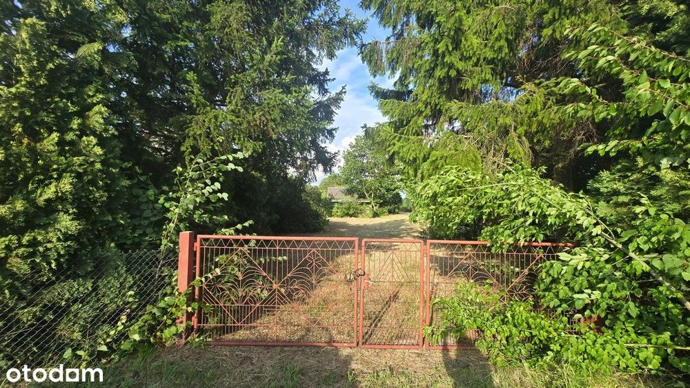 Działka 47,82 ara przy drodze asfaltowej z budynkiem 62m Wola Mielecka