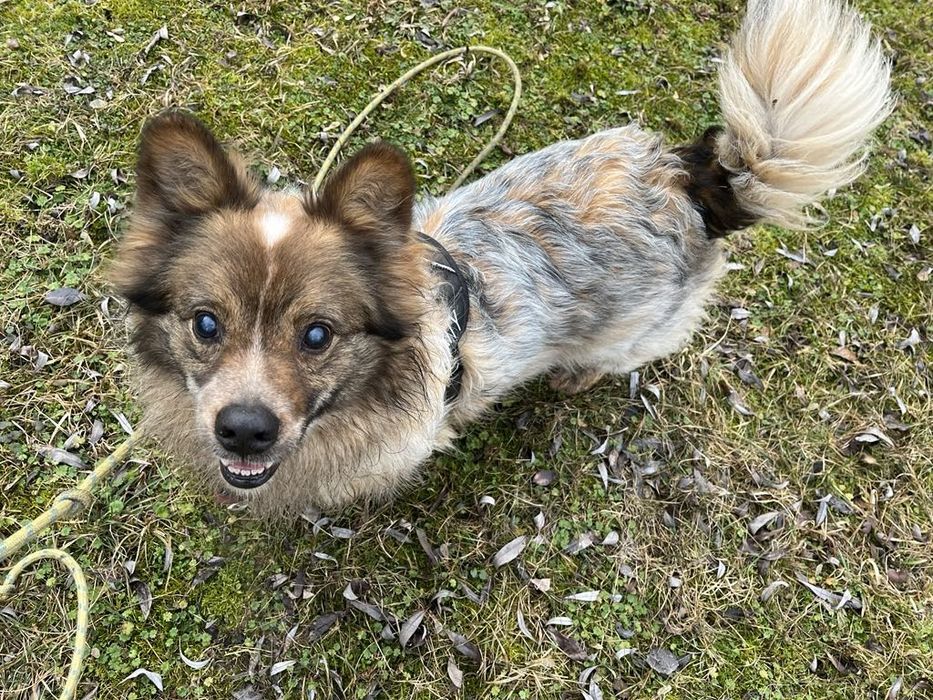 Kolejna zima za kratami i tak od kilku lat. Nikt go nie chce