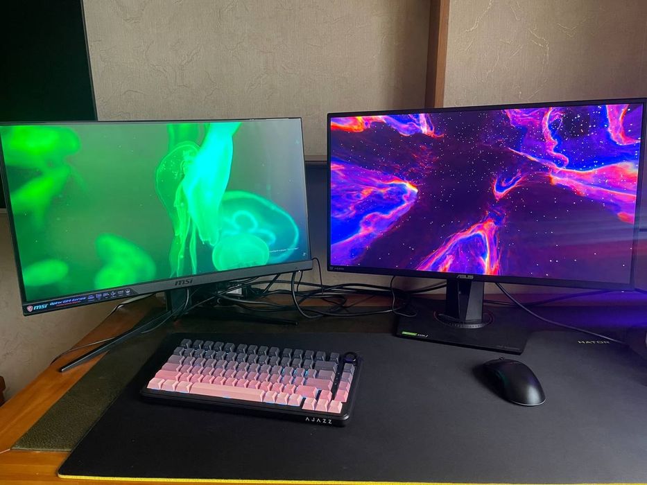 Ігрові монітори Asus MSI Dell