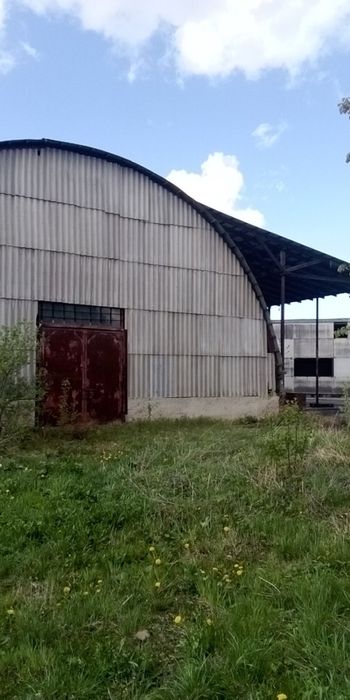 Здам в оренду ангар