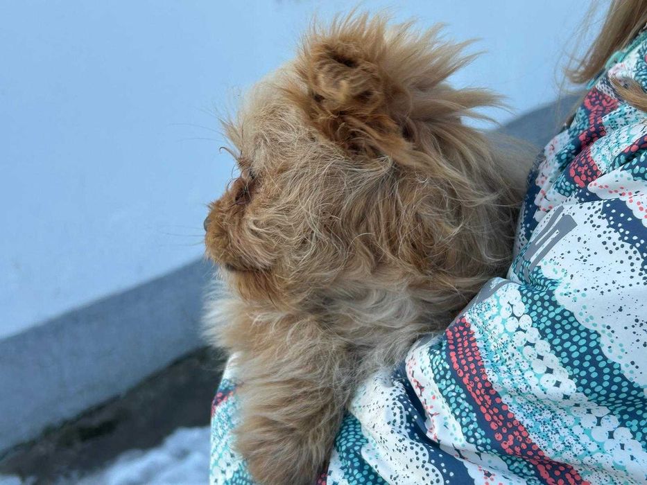 Oddam w dobre ręce !!!