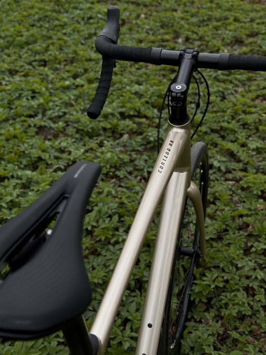 Rower Szosowy Endurance Giant Contend AR 2